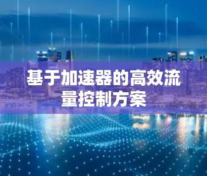 基于加速器的高效流量控制方案