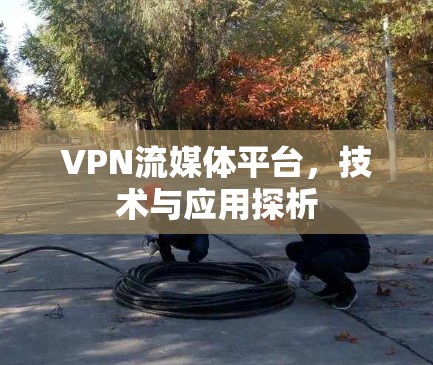 VPN流媒体平台，技术与应用探析
