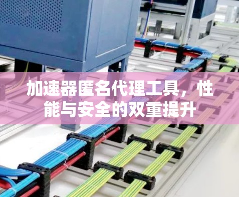 加速器匿名代理工具，性能与安全的双重提升