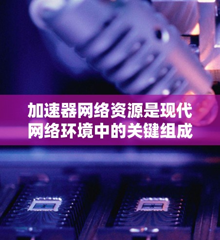 加速器网络资源是现代网络环境中的关键组成部分，旨在通过高效处理数据包来提升网络性能，特别是在数据中心、云计算和边缘计算场景中。以下是对加速器网络资源的详细分析和总结