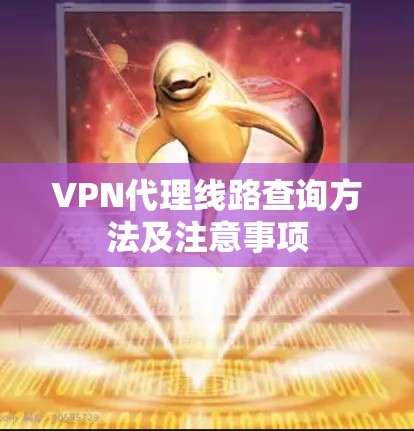 VPN代理线路查询方法及注意事项