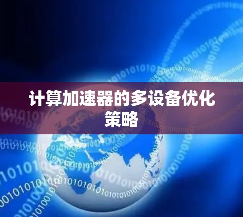 计算加速器的多设备优化策略