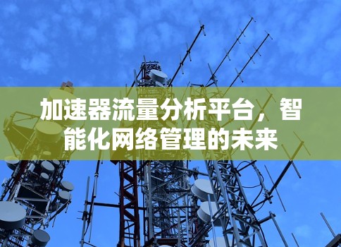 加速器流量分析平台，智能化网络管理的未来