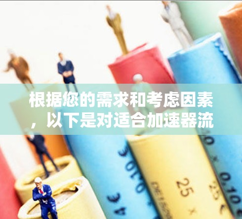 根据您的需求和考虑因素，以下是对适合加速器流量监控工具的详细分析和推荐