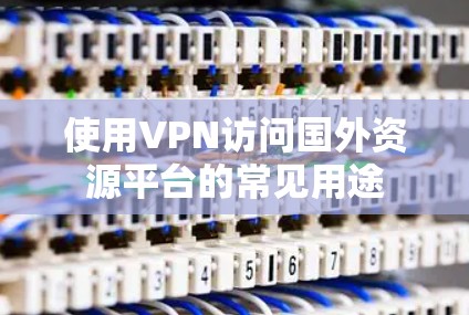 使用VPN访问国外资源平台的常见用途