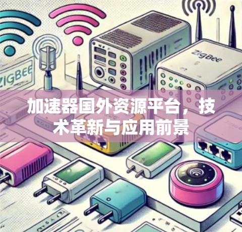 加速器国外资源平台，技术革新与应用前景