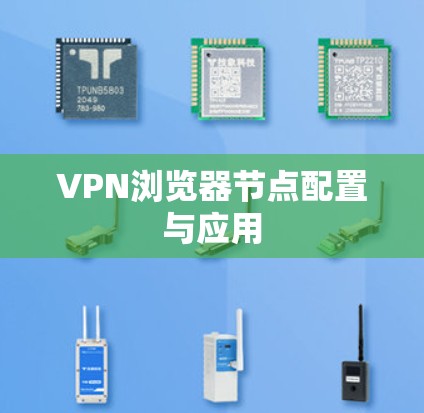 VPN浏览器节点配置与应用