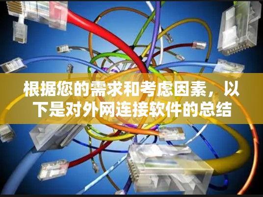 根据您的需求和考虑因素，以下是对外网连接软件的总结和建议