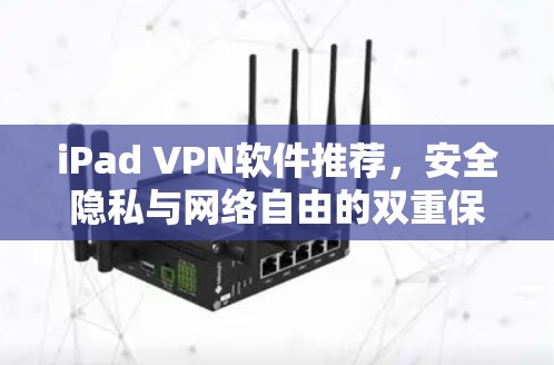 iPad VPN软件推荐，安全隐私与网络自由的双重保障