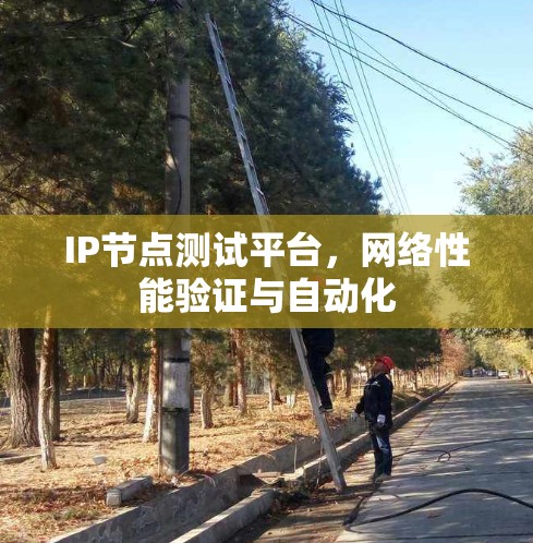 IP节点测试平台，网络性能验证与自动化