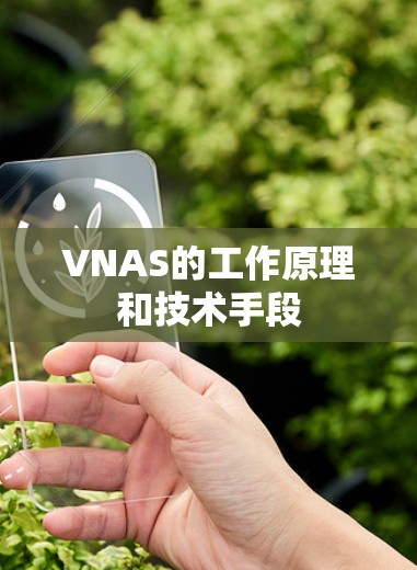 VNAS的工作原理和技术手段