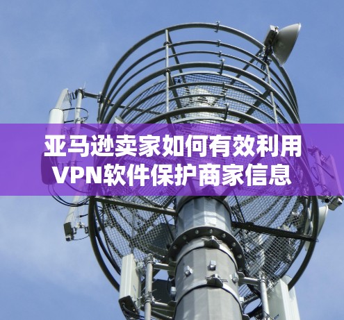 亚马逊卖家如何有效利用VPN软件保护商家信息