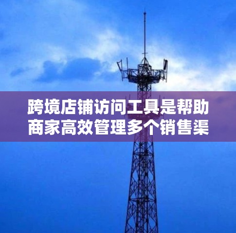 跨境店铺访问工具是帮助商家高效管理多个销售渠道的关键，特别是在跨国电商中。以下是对这些工具的详细分析和总结