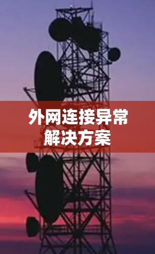 外网连接异常解决方案