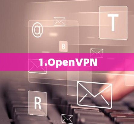 1.OpenVPN