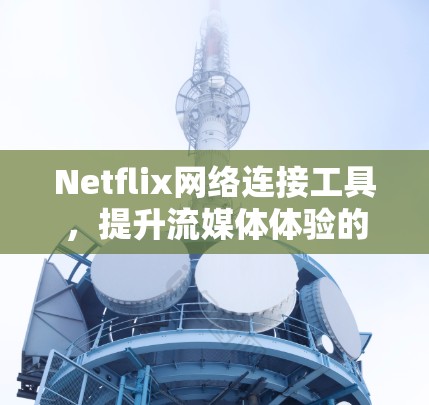 Netflix网络连接工具，提升流媒体体验的技术指南