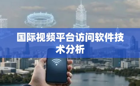 国际视频平台访问软件技术分析