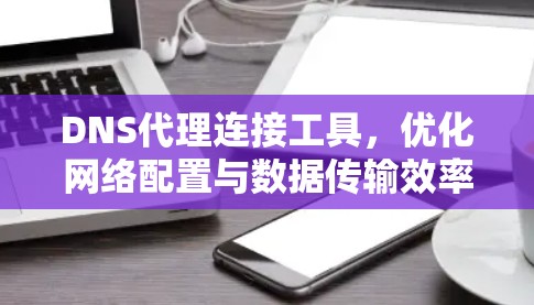 DNS代理连接工具，优化网络配置与数据传输效率