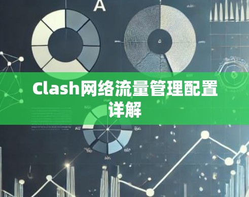 Clash网络流量管理配置详解