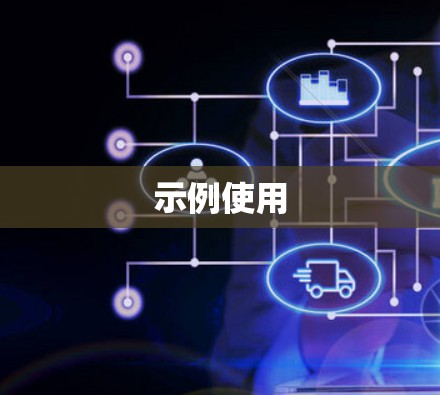 示例使用