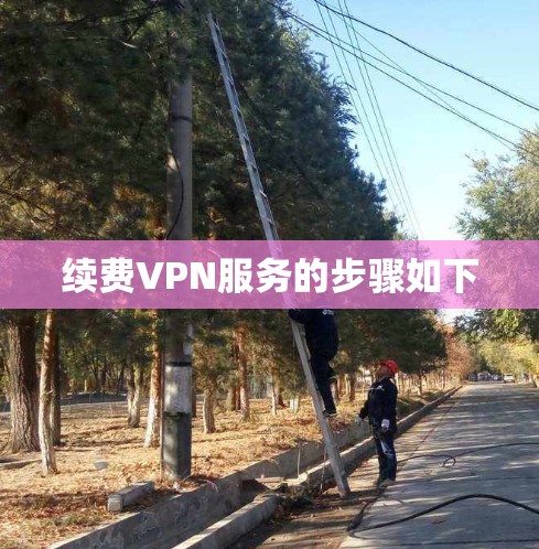 续费VPN服务的步骤如下