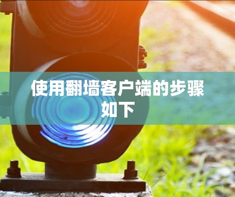 使用翻墙客户端的步骤如下