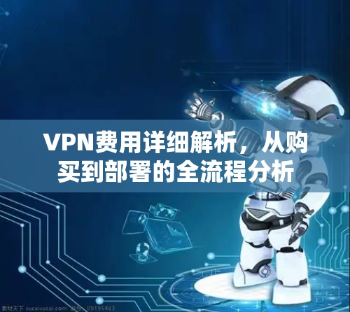 VPN费用详细解析，从购买到部署的全流程分析