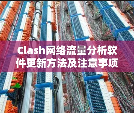 Clash网络流量分析软件更新方法及注意事项