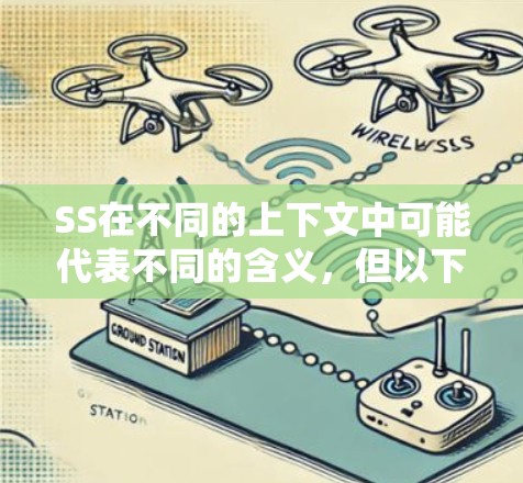 SS在不同的上下文中可能代表不同的含义，但以下是一些常见的解释和使用说明，供你参考