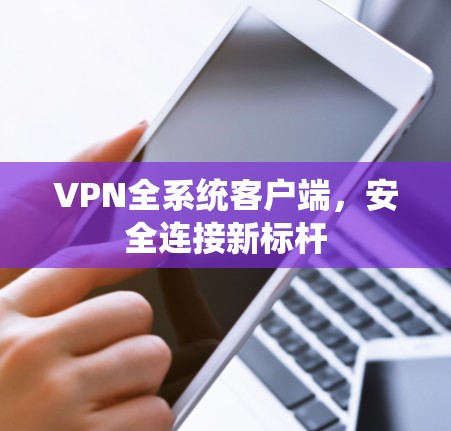 VPN全系统客户端，安全连接新标杆