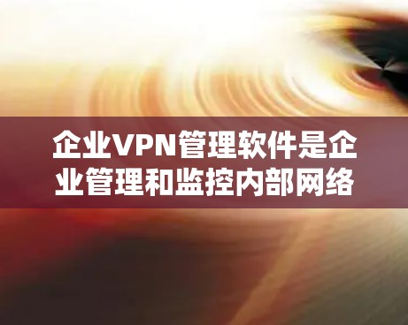 企业VPN管理软件是企业管理和监控内部网络安全的重要工具，帮助企业创建和维护安全的虚拟专用网络。以下是对企业VPN管理软件的详细分析