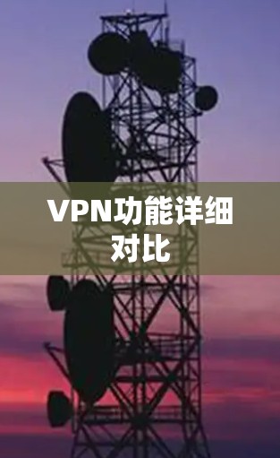 VPN功能详细对比