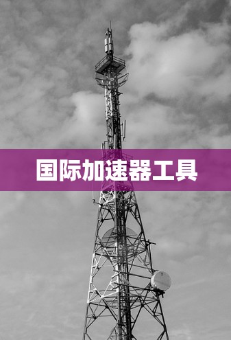 国际加速器工具