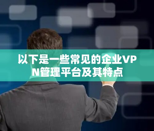 以下是一些常见的企业VPN管理平台及其特点