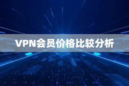 VPN会员价格比较分析