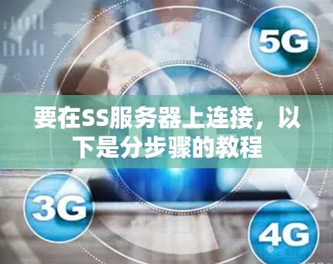 要在SS服务器上连接，以下是分步骤的教程