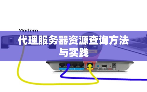 代理服务器资源查询方法与实践