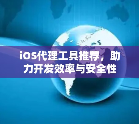 iOS代理工具推荐，助力开发效率与安全性