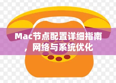 Mac节点配置详细指南，网络与系统优化