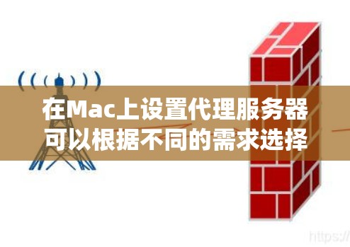 在Mac上设置代理服务器可以根据不同的需求选择不同的方法。本文将分步骤指导您如何在Mac上设置代理服务器，包括默认系统代理、手动设置以及针对特殊应用的配置