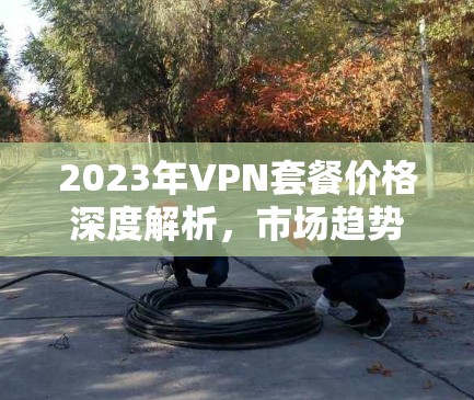 2023年VPN套餐价格深度解析，市场趋势与选购建议