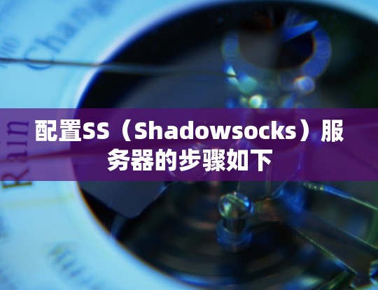 配置SS（Shadowsocks）服务器的步骤如下
