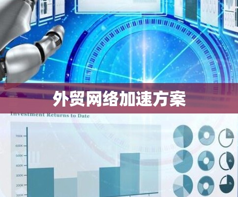外贸网络加速方案