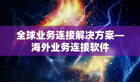 全球业务连接解决方案—海外业务连接软件