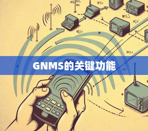 GNMS的关键功能