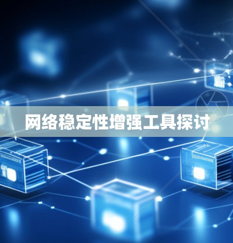 网络稳定性增强工具探讨
