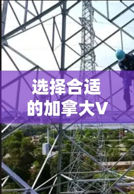 选择合适的加拿大VPN服务可以帮助你访问本地资源或保护隐私。以下是为你量身定制的解决方案