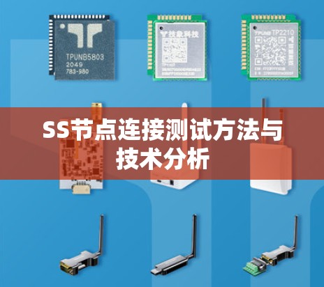 SS节点连接测试方法与技术分析