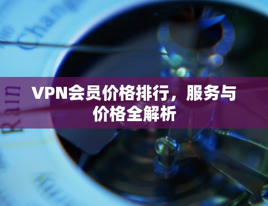 VPN会员价格排行，服务与价格全解析
