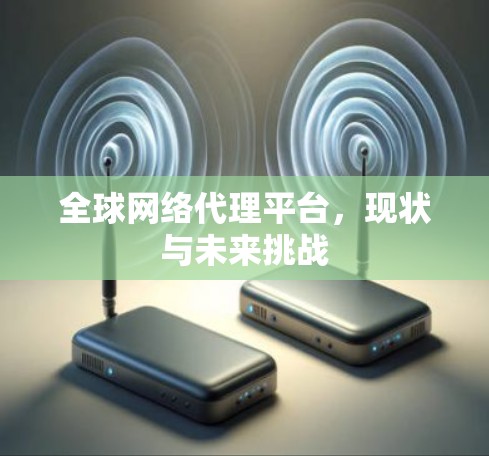全球网络代理平台，现状与未来挑战